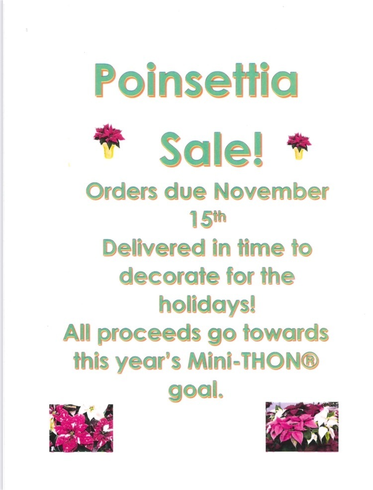 poinsettia sale flyer